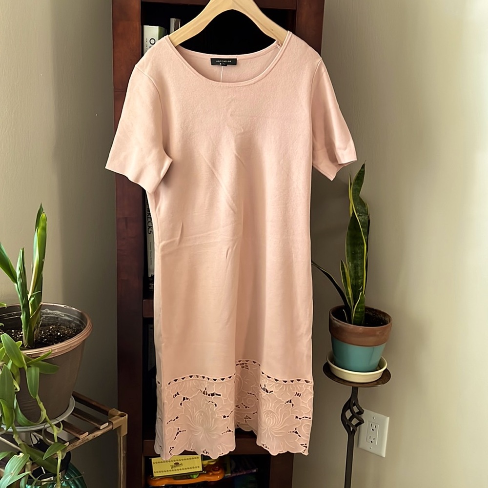 Ann Taylor blush sweater dress with detailed hem